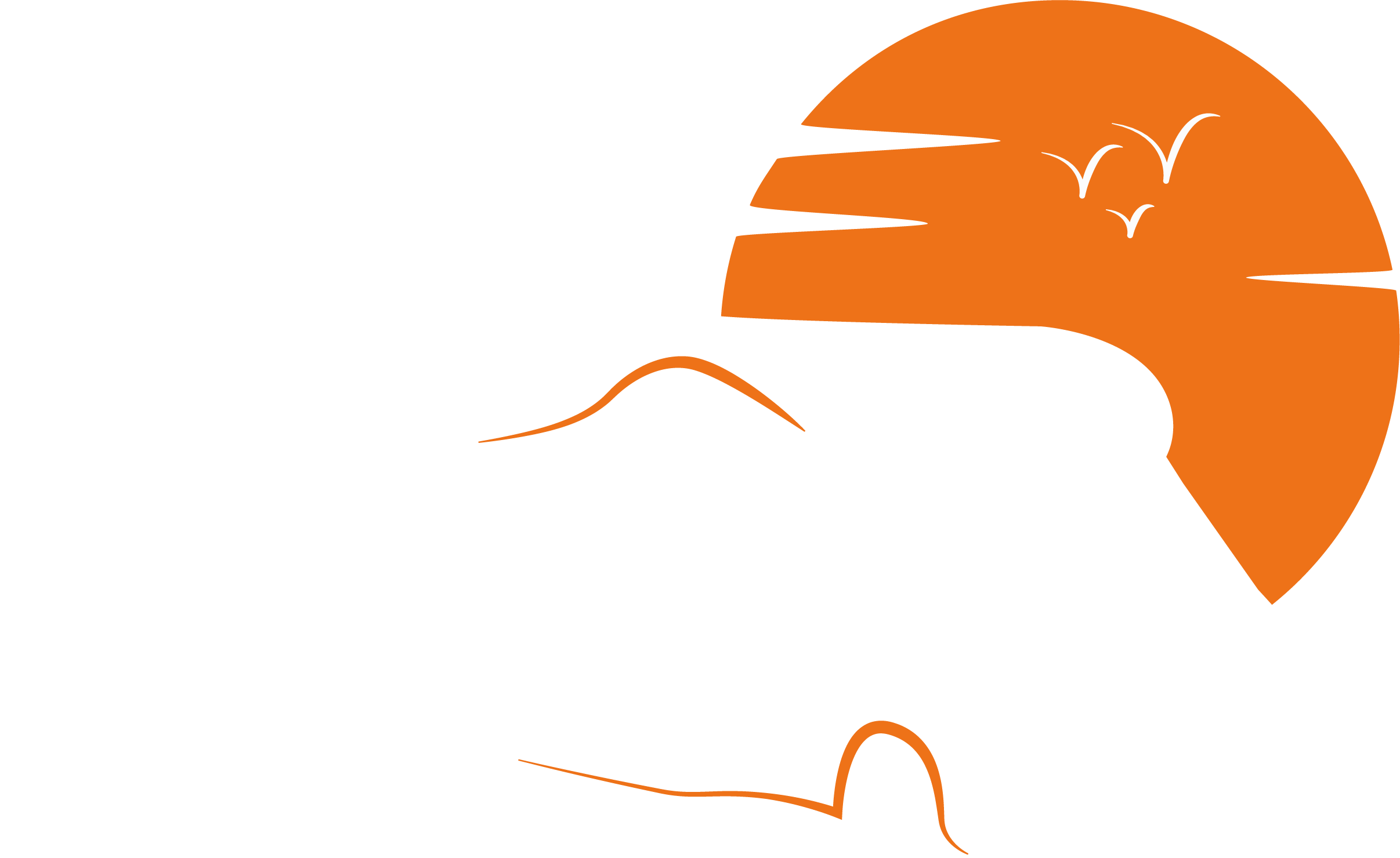 REX Camper® | Lounge + Shop - Premium Camper | Premium Service