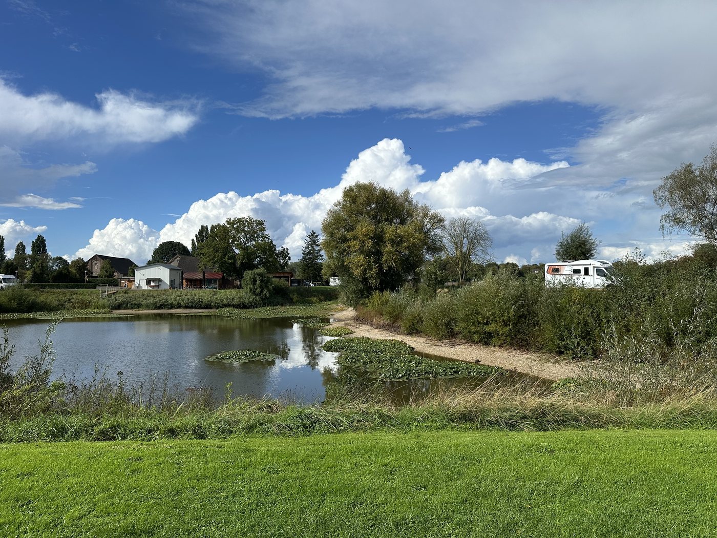 Teich und Wiese am Wohnmobilstellplatz Willisee in Kleve-Keeken – letzte Station im REX Camper Reisebericht